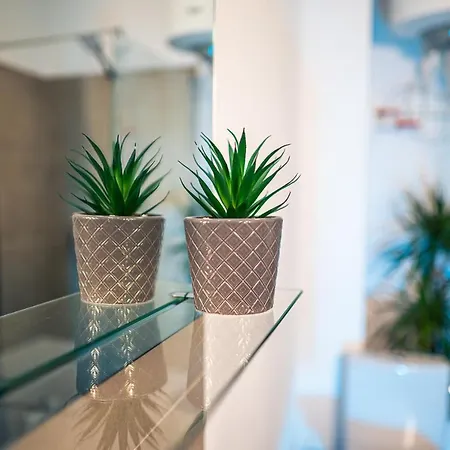 Modern Space Semineu Pat Rotund Apartment