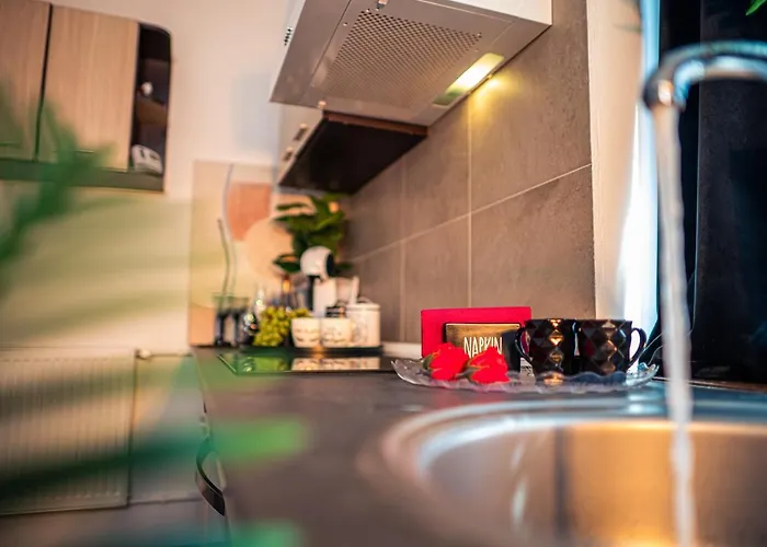 Apartament Modern Space Semineu Pat Rotund Craiova